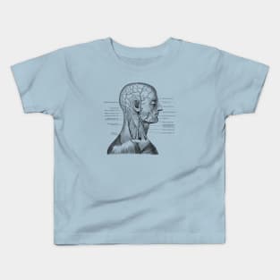 Vascular and Muscular System - Vintage Anatomy Kids T-Shirt